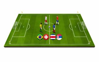 开云kaiyun-青少年体育运动安全保障体系构建与应用研究，青少年体育工作